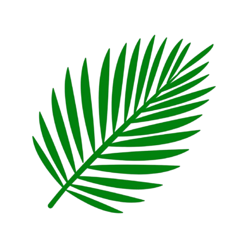 Footer Logo